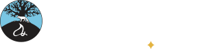 Foxwoods จุดหมายใหม่แห่งความบันเทิงออนไลน์